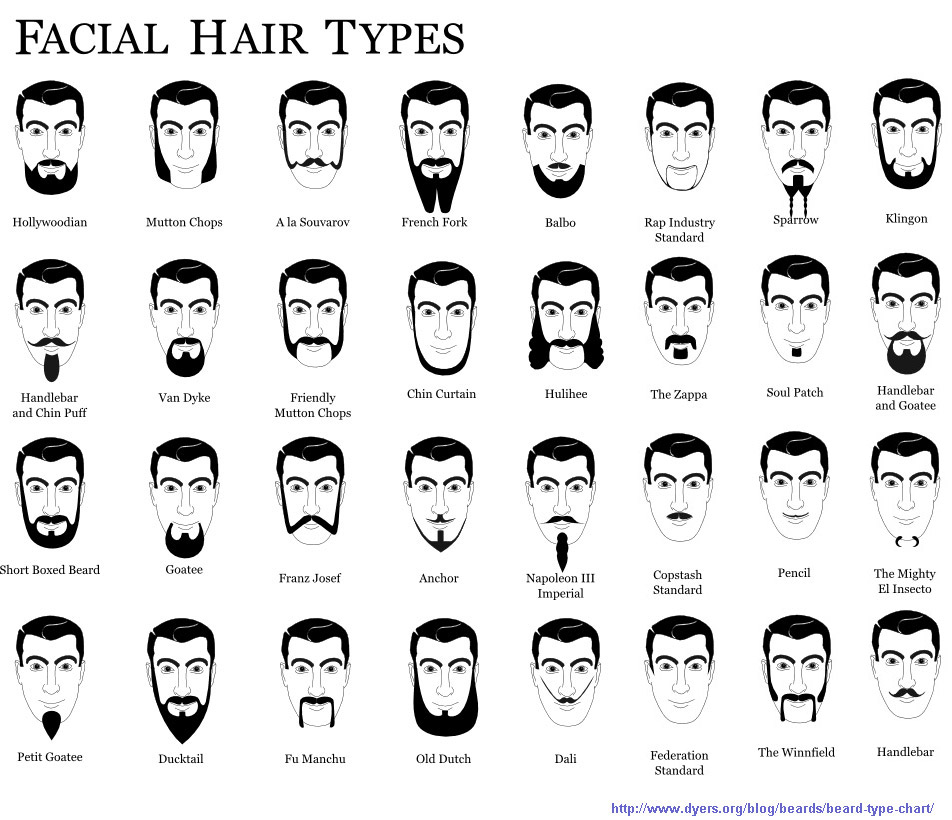 21 Grooming Charts Every Guy Needs To See  Types of facial hair Mens facial  hair styles Types of beards
